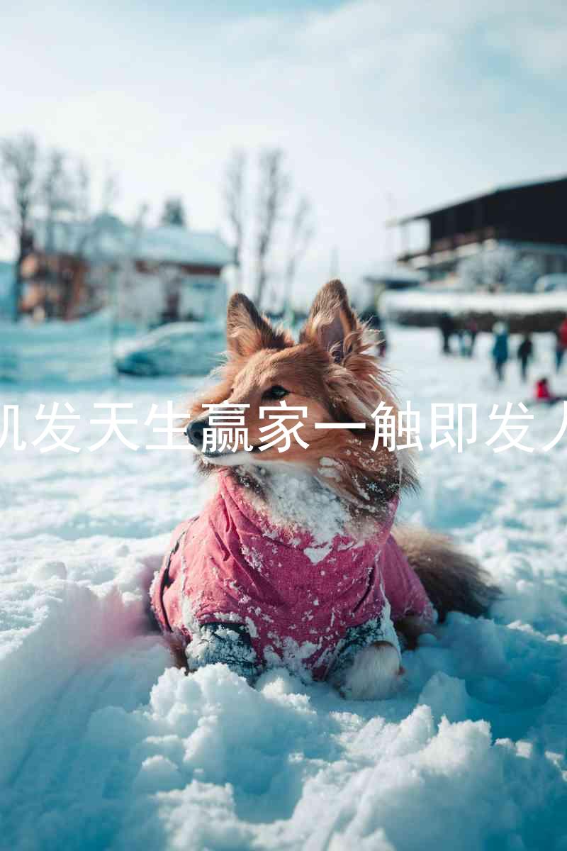 k8凯发天生赢家一触即发人生